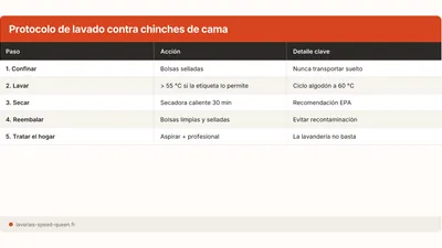Chinches de cama: cómo tratar la ropa correctamente