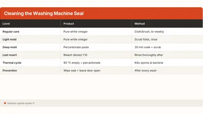 How to Clean a Washing Machine Door Seal (Mould)