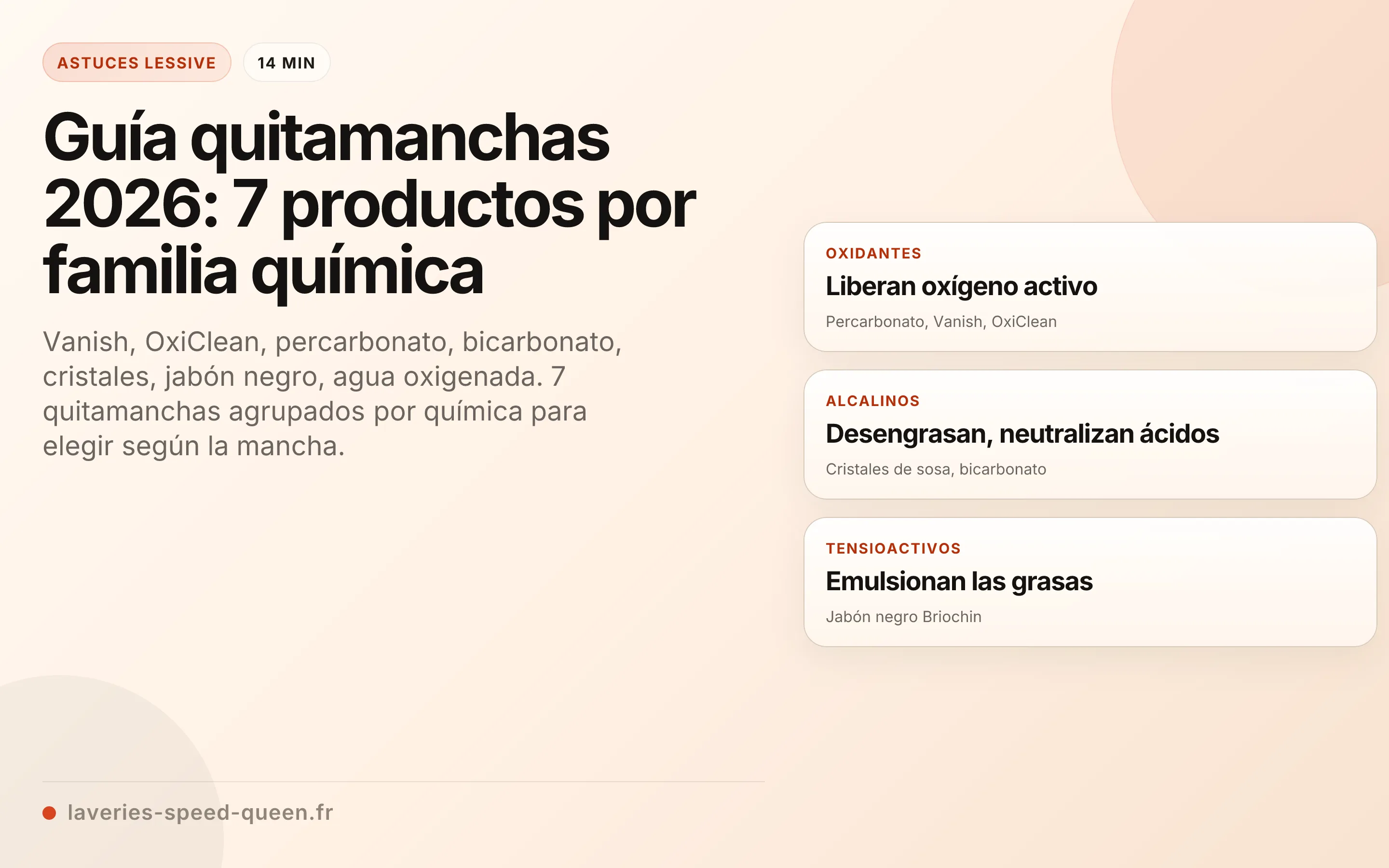 Guía quitamanchas 2026: 7 productos por familia química