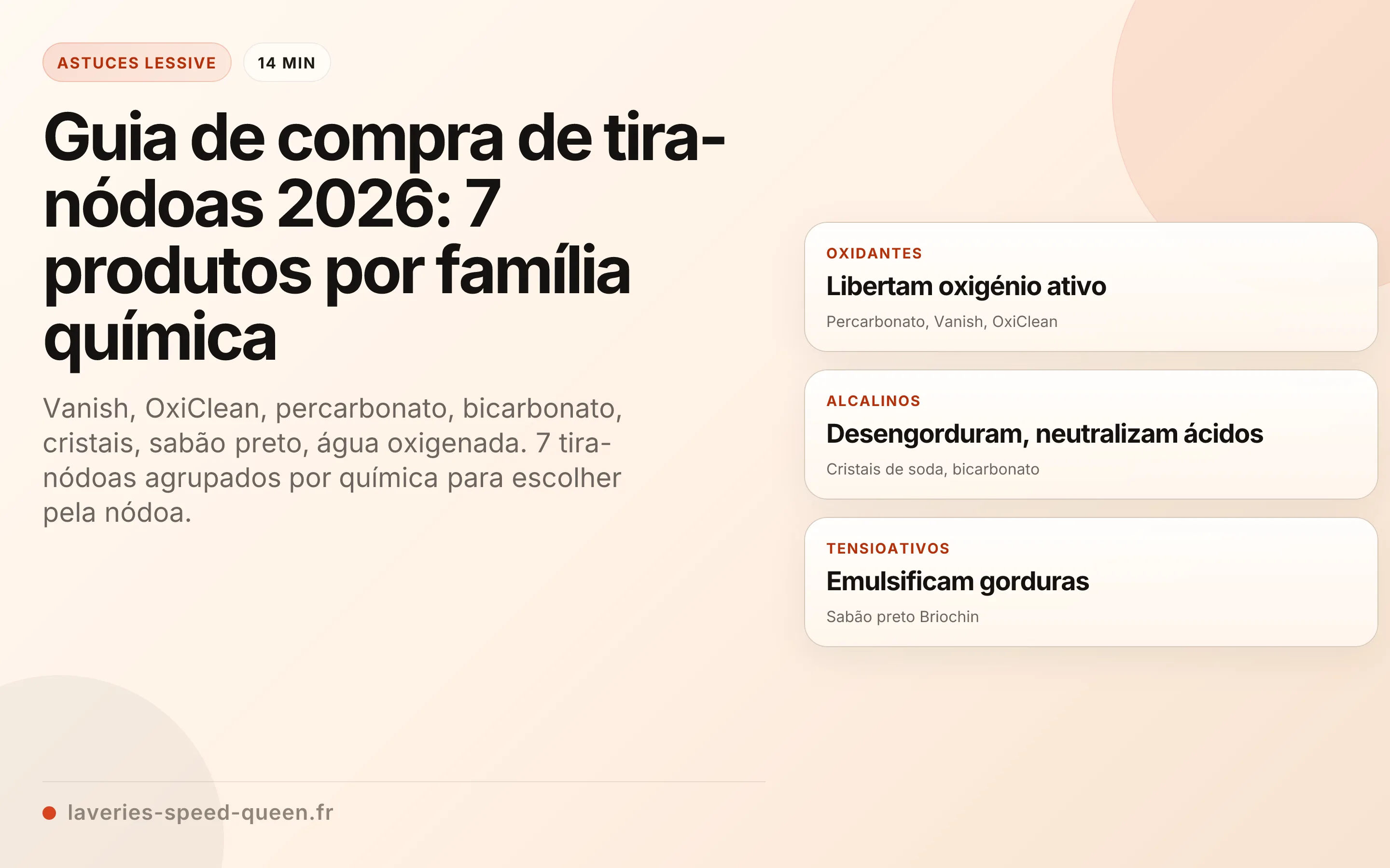 Guia de compra de tira-nódoas 2026: 7 produtos por família química