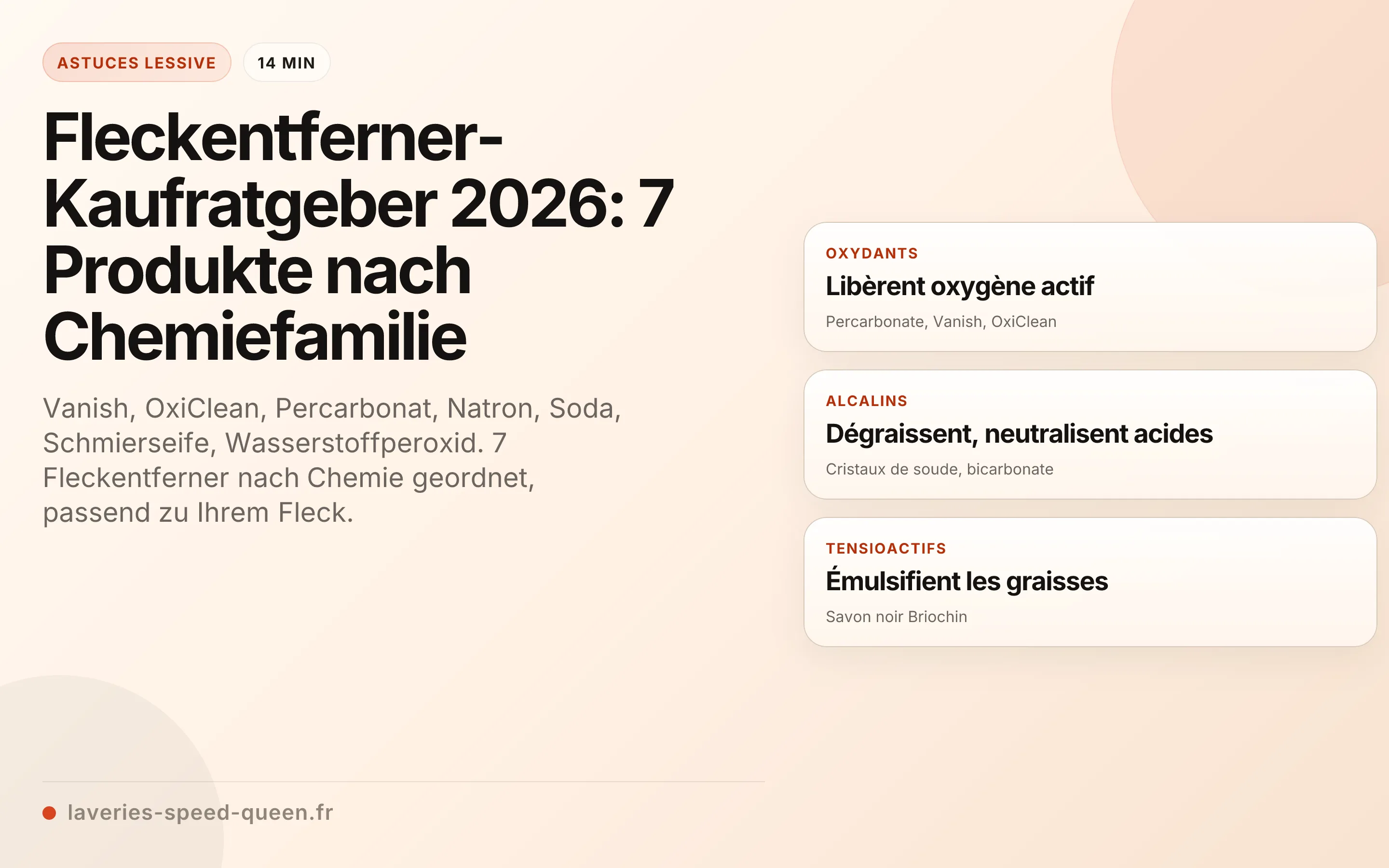 Fleckentferner-Kaufratgeber 2026: 7 Produkte nach Chemiefamilie