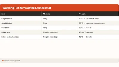 How to Wash Pet Blankets & Beds at a Laundromat