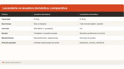 Lavanderia vs lavadora en casa: coste real a 10 anos