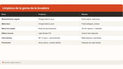 Limpiar la goma de la lavadora: eliminar el moho