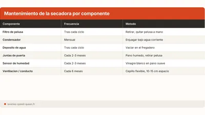 Mantenimiento de la secadora: filtro, condensador, deposito, juntas