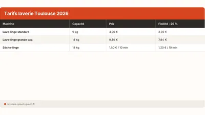 Precios lavanderia Toulouse 2026: guia completa