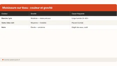 Quitar una mancha de moho del tejido