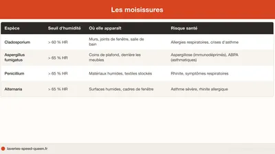 Drying Clothes Indoors: Humidity and Mould Risks