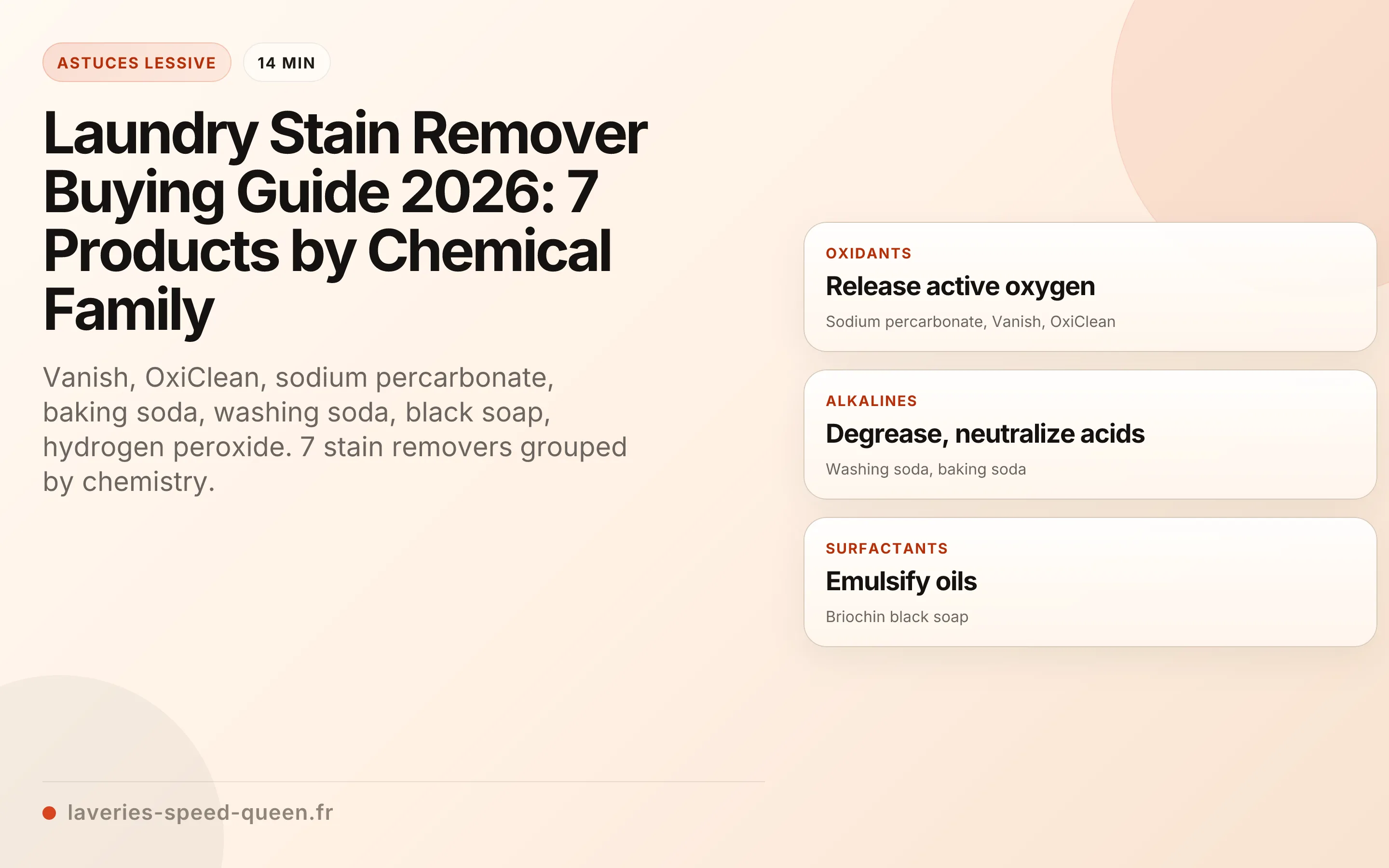Laundry Stain Remover Buying Guide 2026: 7 Products by Chemical Family