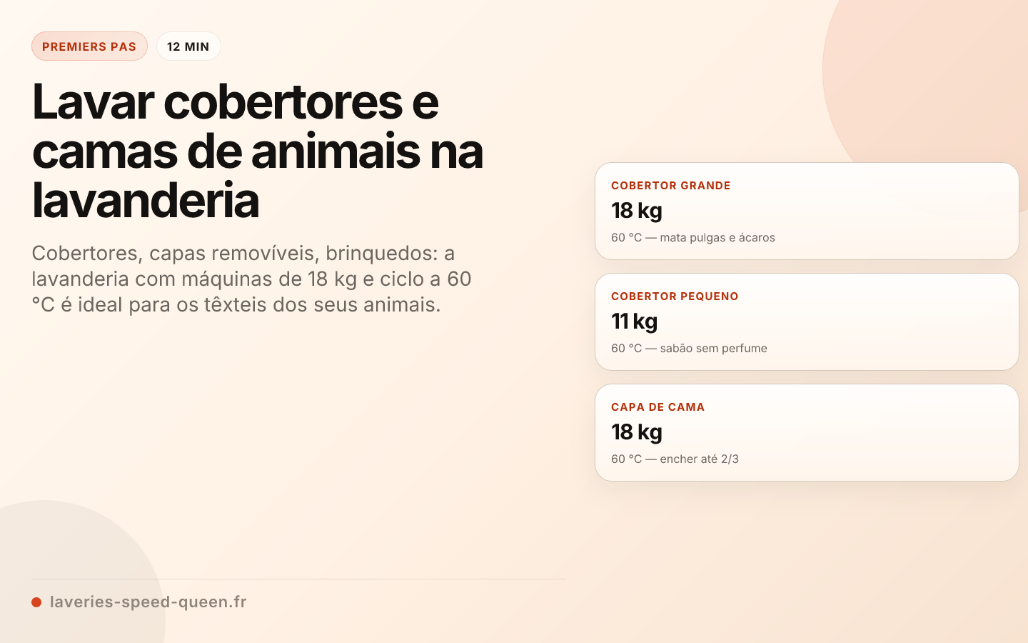 Lavar cobertores e camas de animais na lavanderia