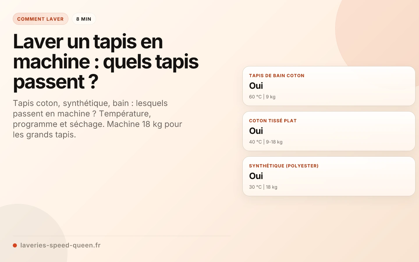 Laver un tapis en machine : quels tapis passent ?