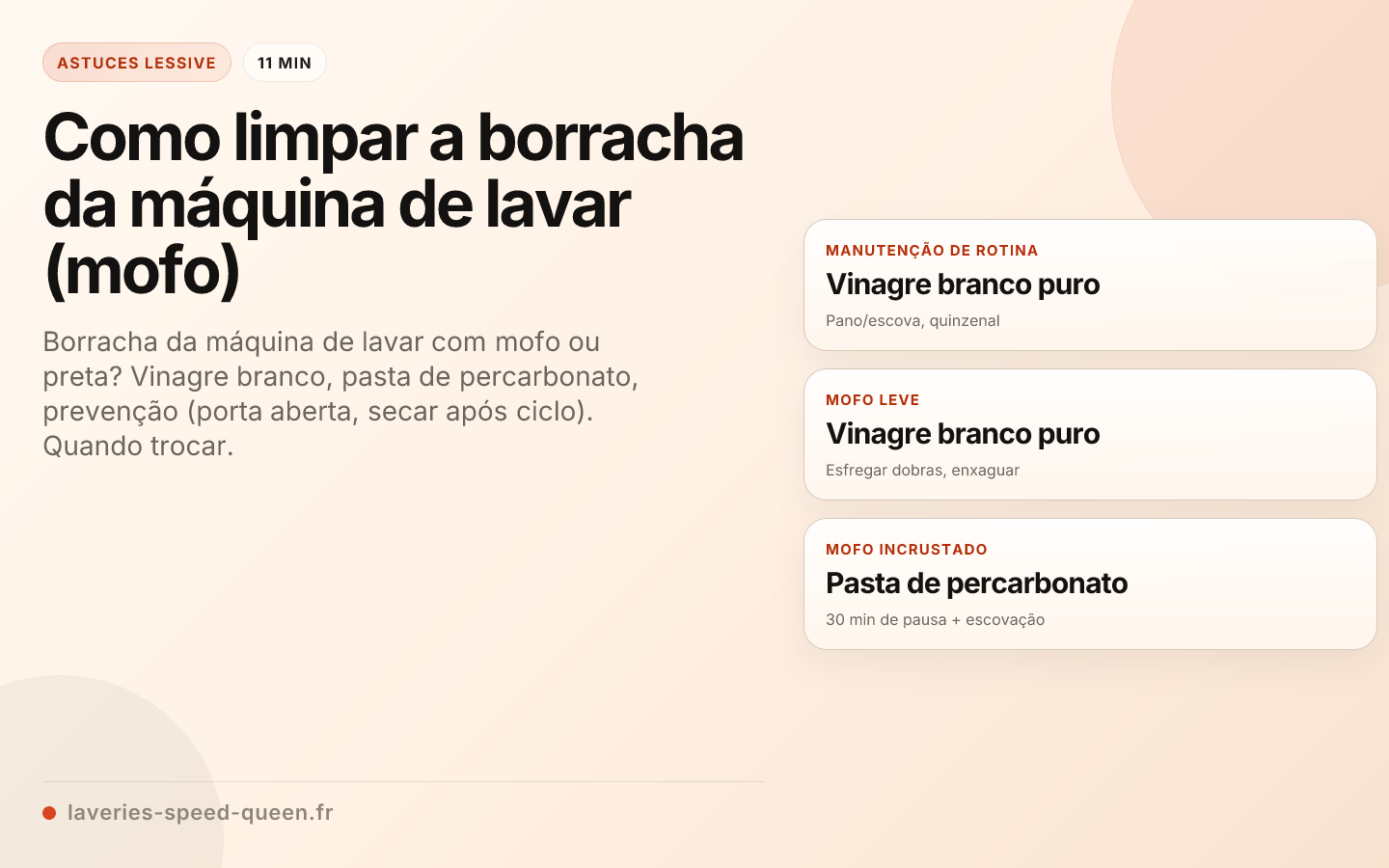 Como limpar a borracha da máquina de lavar (mofo)