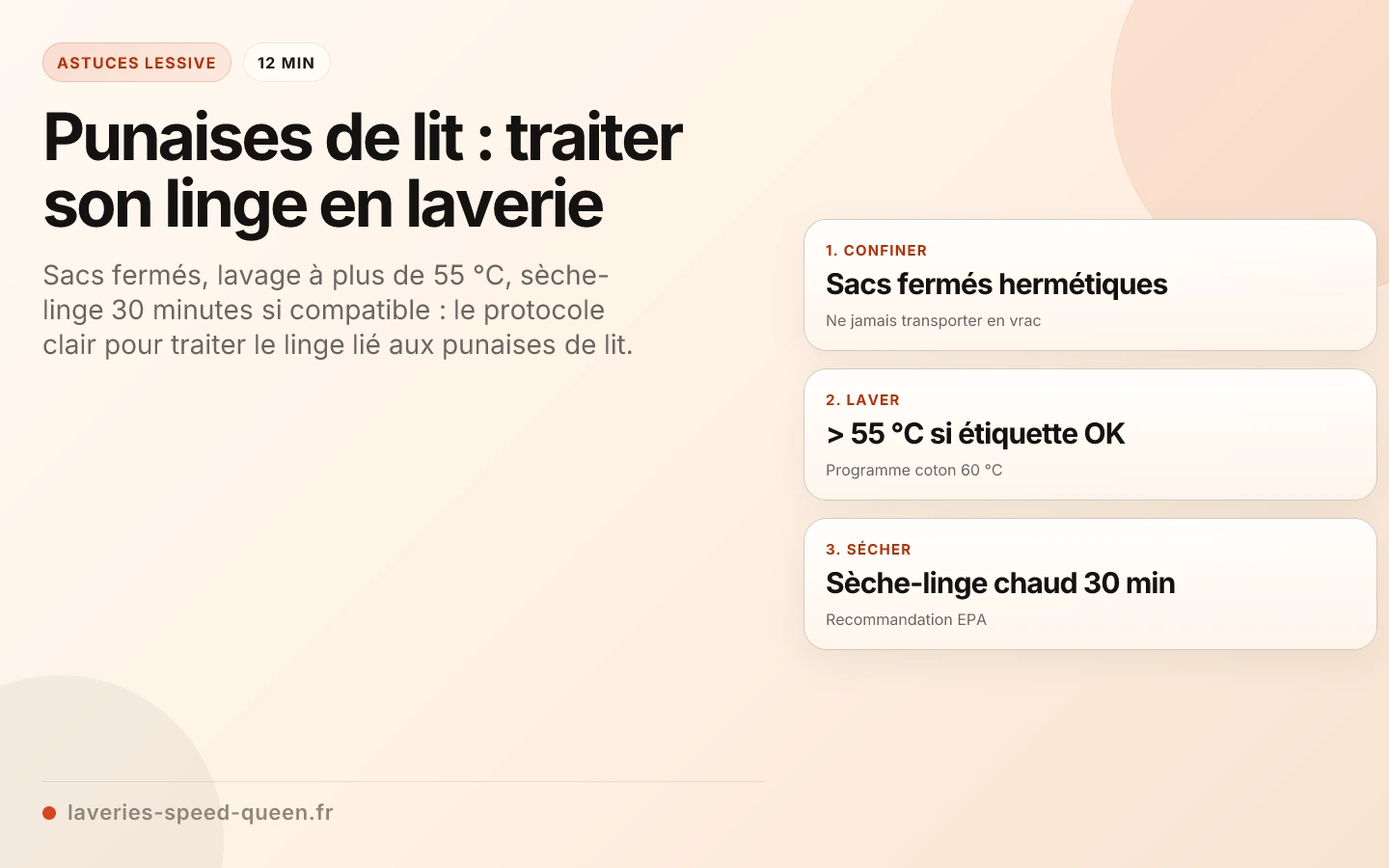 Punaises de lit : traiter son linge en laverie