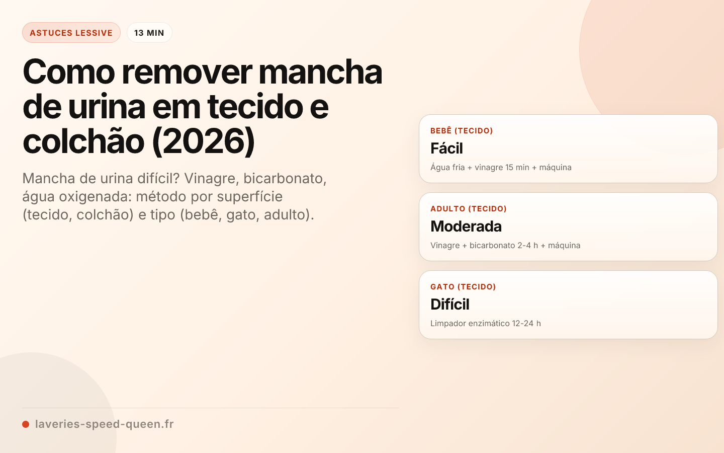 Como remover mancha de urina em tecido e colchão (2026)